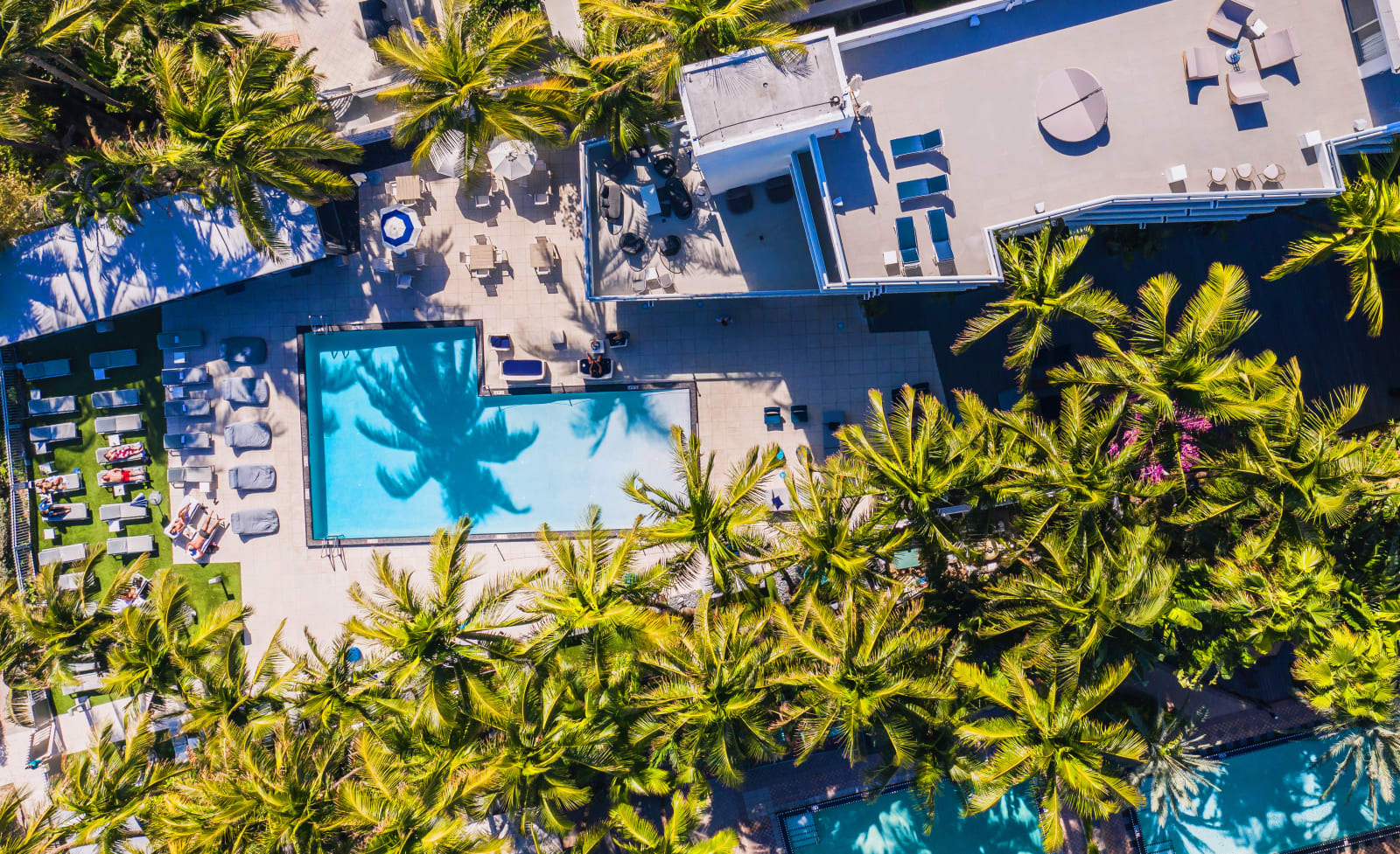 Aerial view of The Sagamore pool framed by palm trees